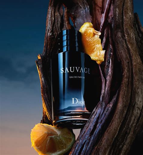 dior perfume citrus|dior sauvage vanilla.